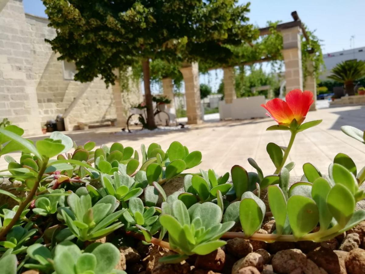 Il Giardino Del Tiglio Acomodação com café da manhã Uggiano La Chiesa Exterior foto