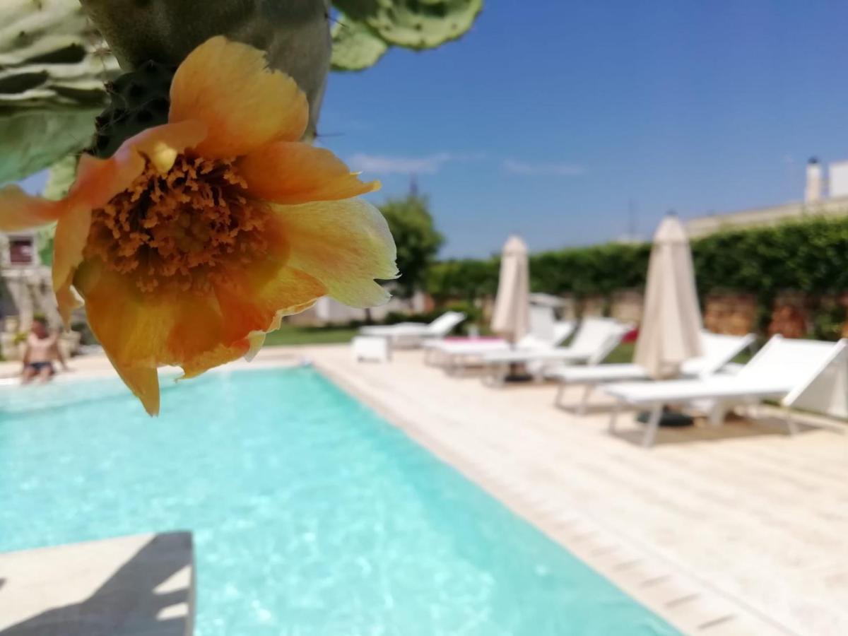 Il Giardino Del Tiglio Acomodação com café da manhã Uggiano La Chiesa Exterior foto