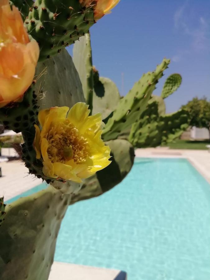 Il Giardino Del Tiglio Acomodação com café da manhã Uggiano La Chiesa Exterior foto