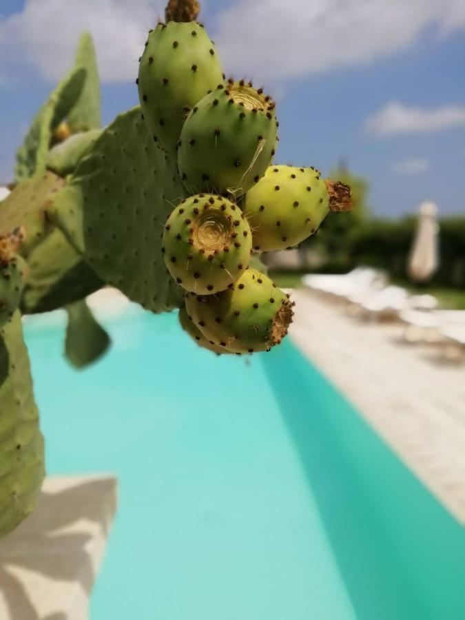 Il Giardino Del Tiglio Acomodação com café da manhã Uggiano La Chiesa Exterior foto